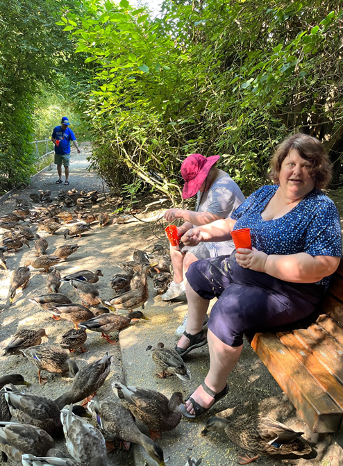 feeding the birds